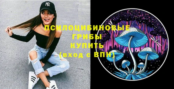 прущие крисы Армянск