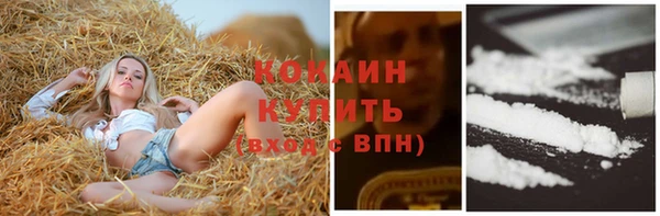 прущие крисы Армянск