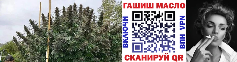 магазин продажи наркотиков Нижнеудинск ТГК жижа